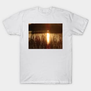 Golden Reflection T-Shirt